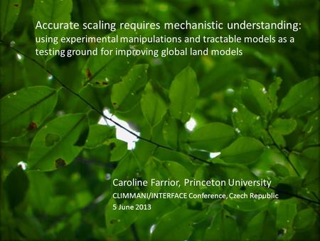 Accurate scaling requires mechanistic understanding: using experimental manipulations and tractable models as a testing ground for improving global land.