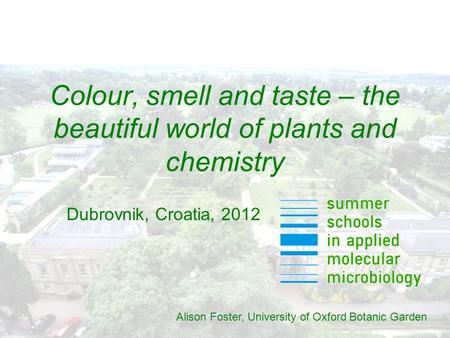 Colour, smell and taste – the beautiful world of plants and chemistry Alison Foster, University of Oxford Botanic Garden Dubrovnik, Croatia, 2012.