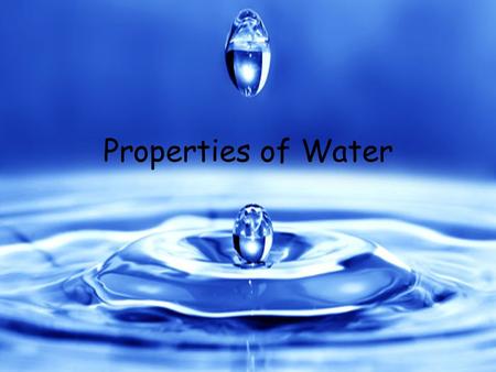 Properties of Water. Water and Living Things What do you and an apple have in common? You both mostly consist of water! In fact water makes up nearly.