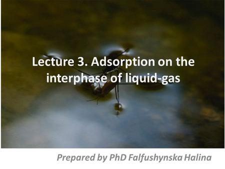 Lecture 3. Adsorption on the interphase of liquid-gas Prepared by PhD Falfushynska Halina.