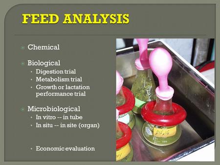 FEED ANALYSIS Chemical Biological Microbiological Digestion trial