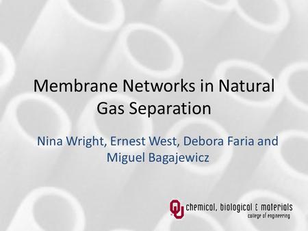 Membrane Networks in Natural Gas Separation