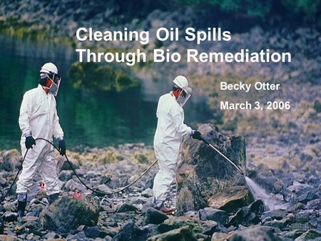 Cleaning Oil Spills Through Bio Remediation Becky Otter March 3, 2006.