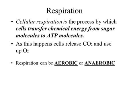 Respiration Cellular respiration is the process by which cells transfer chemical energy from sugar molecules to ATP molecules. As this happens cells release.