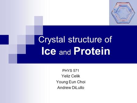 Crystal structure of Ice and Protein PHYS 571 Yeliz Celik Young Eun Choi Andrew DiLullo.