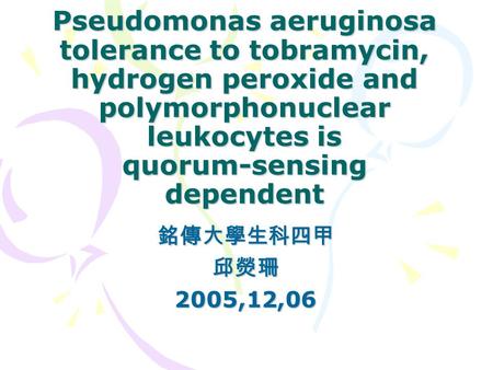Pseudomonas aeruginosa tolerance to tobramycin, hydrogen peroxide and polymorphonuclear leukocytes is quorum-sensing dependent 銘傳大學生科四甲邱熒珊2005,12,06.