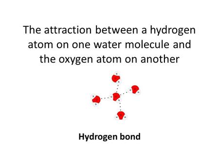 The attraction between a hydrogen atom on one water molecule and the oxygen atom on another Hydrogen bond.