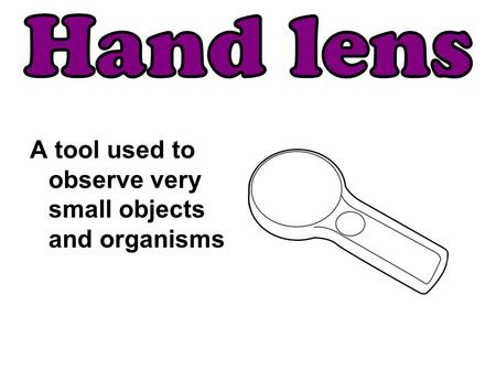 Hand lens A tool used to observe very small objects and organisms.