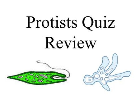 Protists Quiz Review.