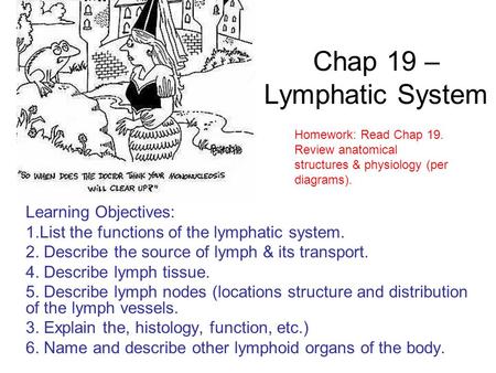 Chap 19 – Lymphatic System