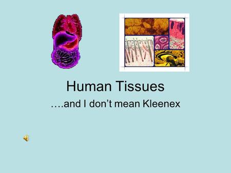 Human Tissues ….and I don’t mean Kleenex One organ – many tissues.