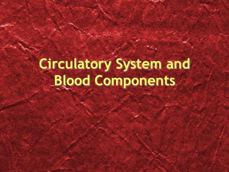 Circulatory System and Blood Components