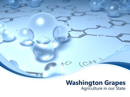 Washington Grapes Agriculture in our State. Food Chemistry Challenge Solo, what do you think is the correct answer? Write it on your card. Pair, find.