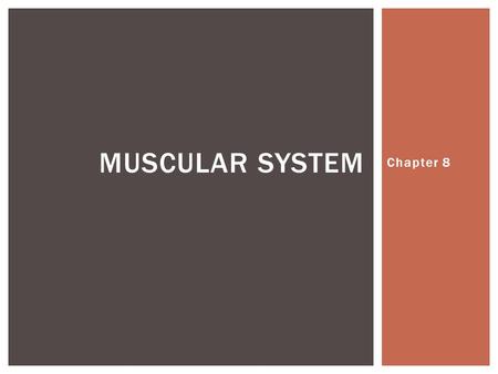 Muscular system Chapter 8.