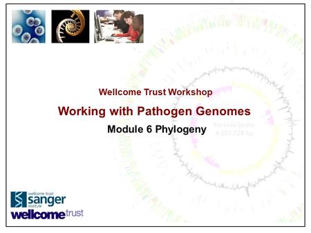Wellcome Trust Workshop Working with Pathogen Genomes Module 6 Phylogeny.
