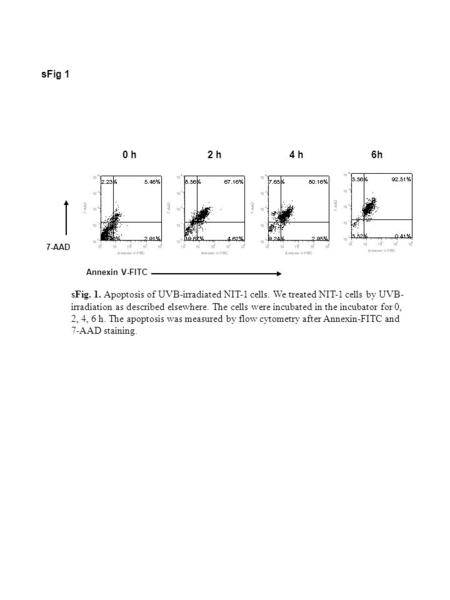 SFig 1 sFig. 1. Apoptosis of UVB-irradiated NIT-1 cells. We treated NIT-1 cells by UVB- irradiation as described elsewhere. The cells were incubated in.