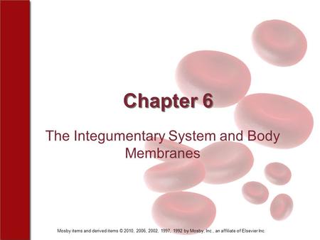 Mosby items and derived items © 2010, 2006, 2002, 1997, 1992 by Mosby, Inc., an affiliate of Elsevier Inc. Chapter 6 The Integumentary System and Body.