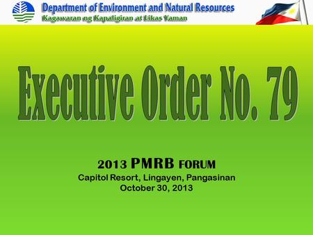 2013 PMRB FORUM Capitol Resort, Lingayen, Pangasinan October 30, 2013.