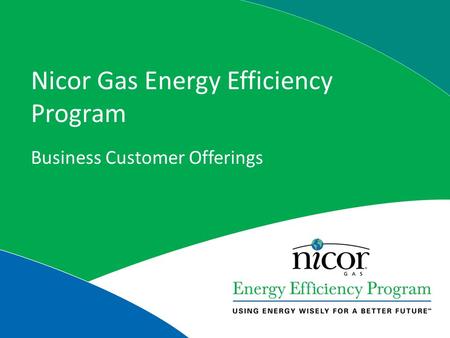 Nicor Gas Energy Efficiency Program Business Customer Offerings.