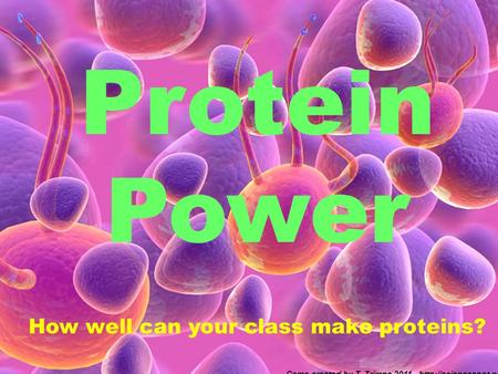 Protein Power How well can your class make proteins? Game created by T. Trimpe 2011