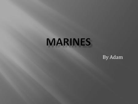 By Adam.  What do you know about the Marine Corps?