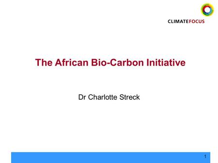 1 The African Bio-Carbon Initiative Dr Charlotte Streck.