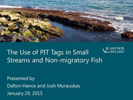 The Use of PIT Tags in Small Streams and Non-migratory Fish Presented By Dalton Hance and Josh Murauskas 1 The Use of PIT Tags in Small Streams and Non-migratory.