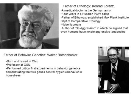 Father of Ethology: Konrad Lorenz, A medical doctor in the German army Four years in a Russian POW camp Father of Ethology: established Max Plank Institute.
