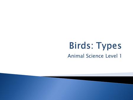 Animal Science Level 1. Intro Video  Unit Essential Question ◦ What are common characteristics of bird care?  Lesson Questions: ◦ How could bird behavior.