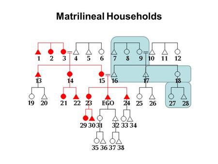 Matrilineal Households. Family Structure Nuclear –2 generations –Neolocal or ambilocal –Mobility –Industrialized and foraging societies Extended (46%