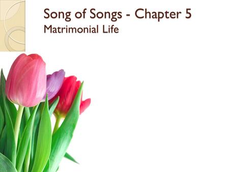 Song of Songs - Chapter 5 Matrimonial Life. Song of Songs - Chapter 5 Matrimonial Life Author: