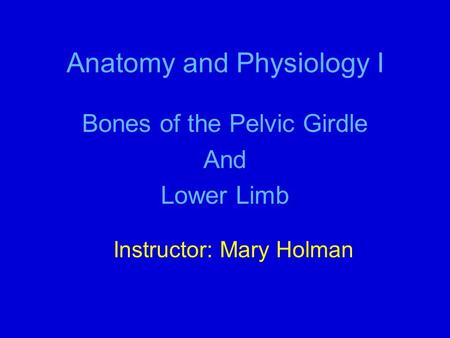Anatomy and Physiology I Bones of the Pelvic Girdle And Lower Limb Instructor: Mary Holman.