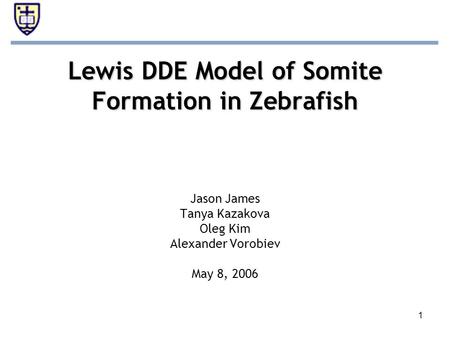 1 Lewis DDE Model of Somite Formation in Zebrafish Jason James Tanya Kazakova Oleg Kim Alexander Vorobiev May 8, 2006.