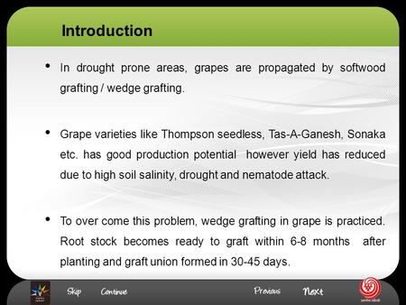 In drought prone areas, grapes are propagated by softwood grafting / wedge grafting. Grape varieties like Thompson seedless, Tas-A-Ganesh, Sonaka etc.