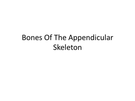 Bones Of The Appendicular Skeleton