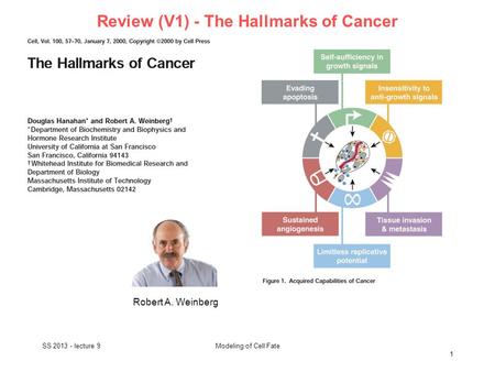 Review (V1) - The Hallmarks of Cancer SS 2013 - lecture 9 1 Modeling of Cell Fate Robert A. Weinberg.