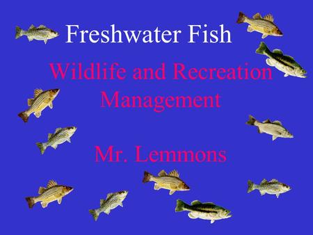 Wildlife and Recreation Management Mr. Lemmons Freshwater Fish.