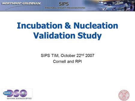 Incubation & Nucleation Validation Study SIPS TIM, October 22 nd 2007 Cornell and RPI.