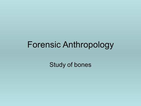 Forensic Anthropology Study of bones. Questions to ask about bones 1.Are the bones human? 2.What was the ____ of the individual? A.Size B.Age C.Sex D.Race.