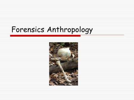 Forensics Anthropology. Generally speaking forensic anthropology is the examination of human skeletal remains for law enforcement agencies to determine.