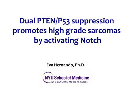 Dual PTEN/P53 suppression promotes high grade sarcomas