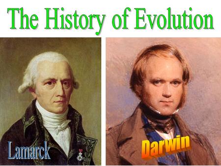 The History of Evolution