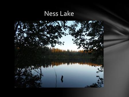 Ness Lake. Lets gather around the campfire and sing our campfire song with Mike, Taryn, Thomson, Nick, that one really cool kid, Joel & Felix.