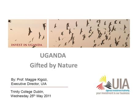 Uganda Investment Authority1 UGANDA Gifted by Nature Trinity College Dublin, Wednesday 25 th May 2011 By: Prof. Maggie Kigozi, Executive Director, UIA.