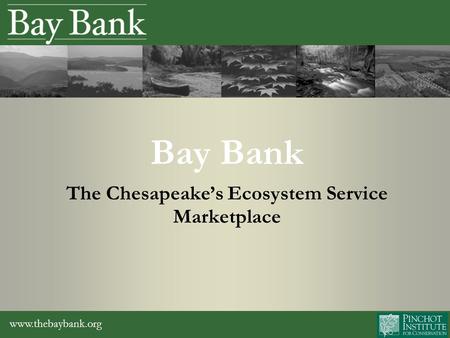 Www.thebaybank.org Bay Bank The Chesapeake’s Ecosystem Service Marketplace.