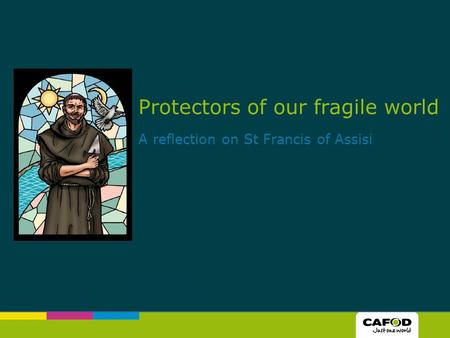 Protectors of our fragile world A reflection on St Francis of Assisi.