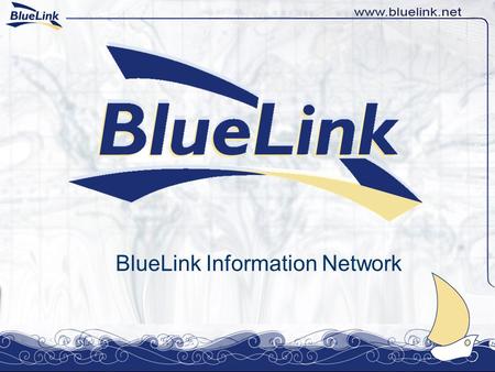 BlueLink Information Network. E-voting platform for Civil Society in Bulgaria Milena Bokova Executive Director BlueLink Information Network June 2008,