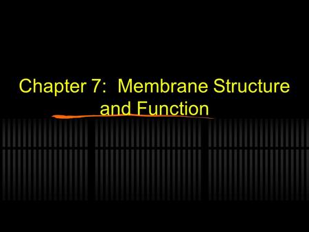 Chapter 7: Membrane Structure and Function. The Cell Membrane It is a fluid mixture of proteins, lipids and some carbohydrates. It has 2 layers which.