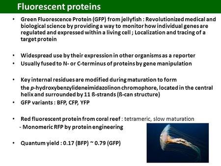 Fluorescent proteins Green Fluorescence Protein (GFP) from jellyfish : Revolutionized medical and biological science by providing a way to monitor how.