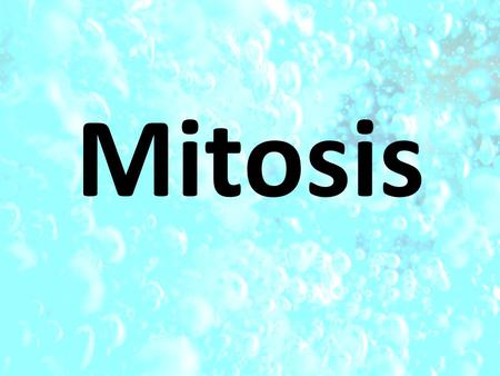 Mitosis. Why do cells divide? The larger a cell gets, the more demands it places on its DNA.